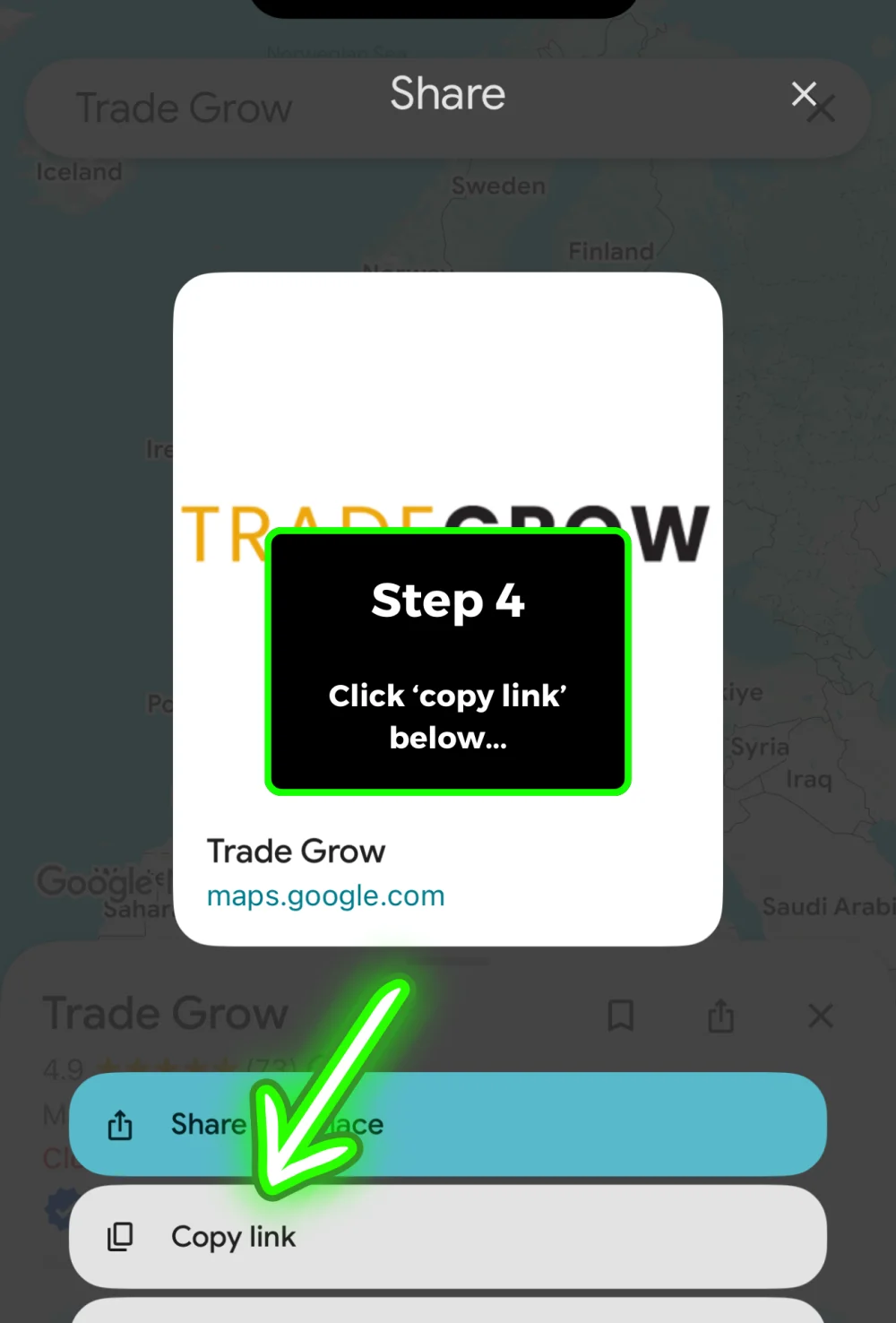 Step 4: Copy link